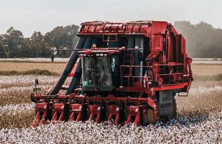 Cotton picker