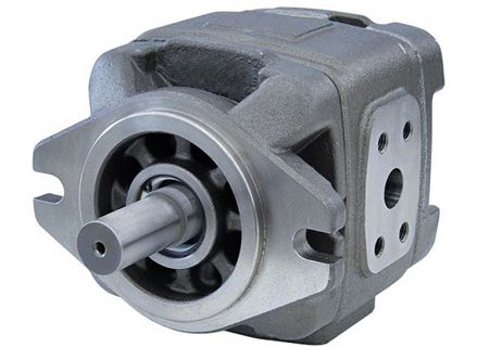 Internal Gear Pump