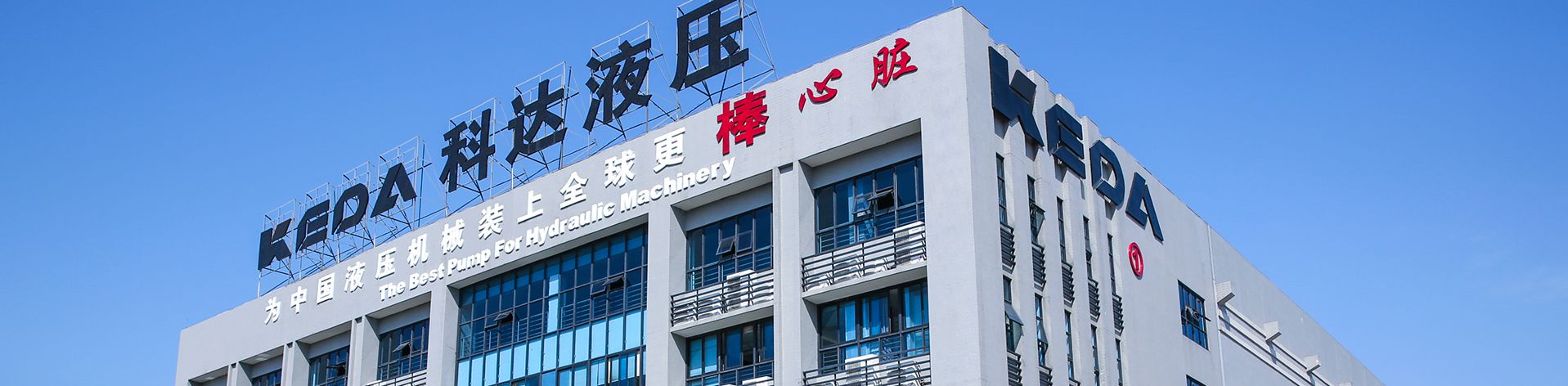 Company Profile